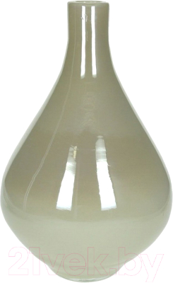 

Ваза Tognana, Glass Design Pearl / GD5VA2B0AVO