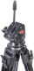 Миниатюра изображения товара Штатив GreenBean VideoCraft 418 / 25159