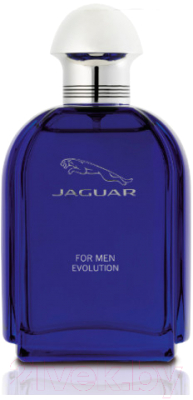 Туалетная вода JAGUAR For Men Evolution (100мл)