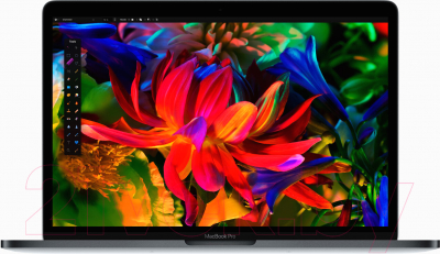 Ноутбук Apple MacBook Pro 13" i5/8/256/640 (серый космос)
