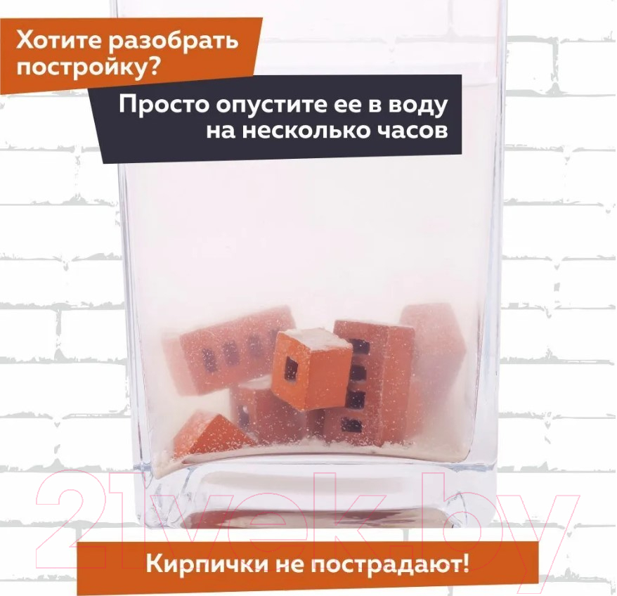 Конструктор Brickmaster Летний домик / 206 (243эл)