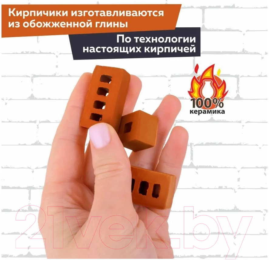 Конструктор Brickmaster Летний домик / 206 (243эл)