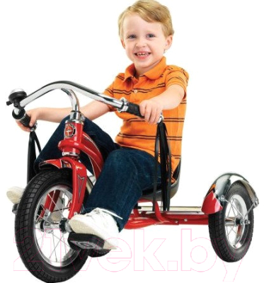 Трехколесный велосипед Schwinn Roadster Trike 2021 / S6760INT (Red)