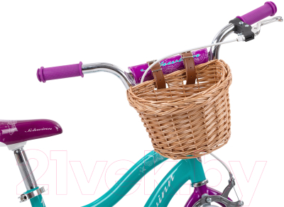 Детский велосипед Schwinn Elm 16 2021 / S0615RUBWB (Teal)