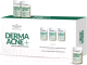 Ампулы для лица Farmona Professional Dermaacne+ активный концентрат для нормализации кожи (5x5мл) - 