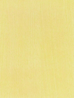 

Пленка самоклеящаяся Color Dekor, 8072