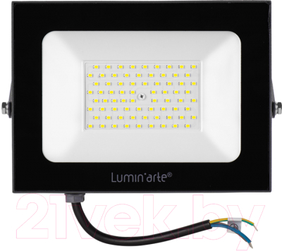 

Прожектор LuminArte, LFL-100W/05