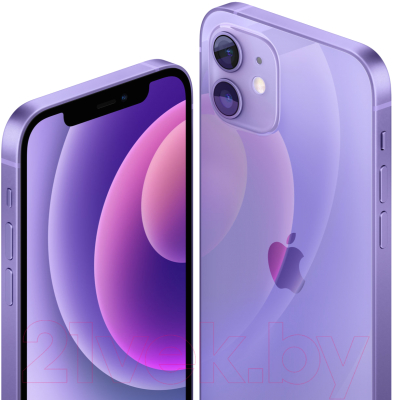 Смартфон Apple iPhone 12 256GB / MJNQ3 (фиолетовый)