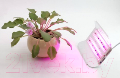 Светильник для растений Glanzen RPD-0001-60-Grow