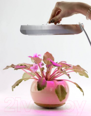 Светильник для растений Glanzen RPD-0001-60-Grow