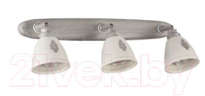 

Спот Maytoni, Agnes SP289-CW-03-BG