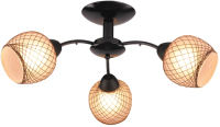 

Люстра LuminArte, Zephyr CL40E27-3BL