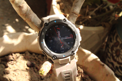 Умные часы Amazfit T-Rex Pro / A2013 (серый)