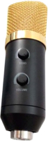 Микрофон Biema BM750 USB - 