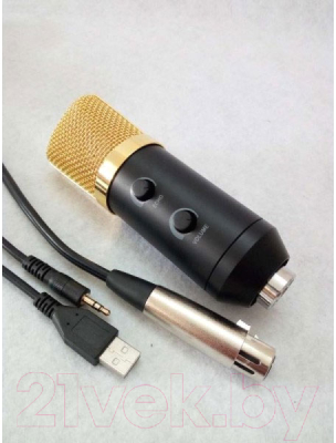 Микрофон Biema BM750 USB