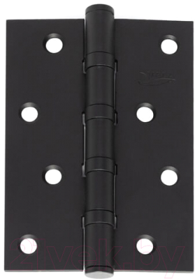 

Петля дверная VELA, 100x70x2.5-BB4