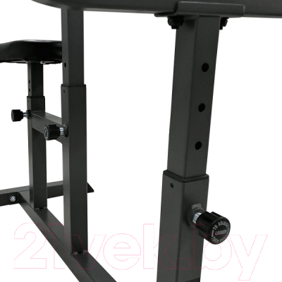 Скамья Скотта DFC Homegym UB008