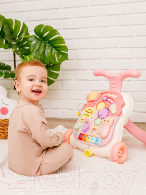 Ходунки-каталка Amarobaby Study Walker 3 в 1 / AMARO-24SW-RO (розовый)