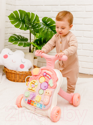 Ходунки-каталка Amarobaby Study Walker 3 в 1 / AMARO-24SW-RO (розовый)