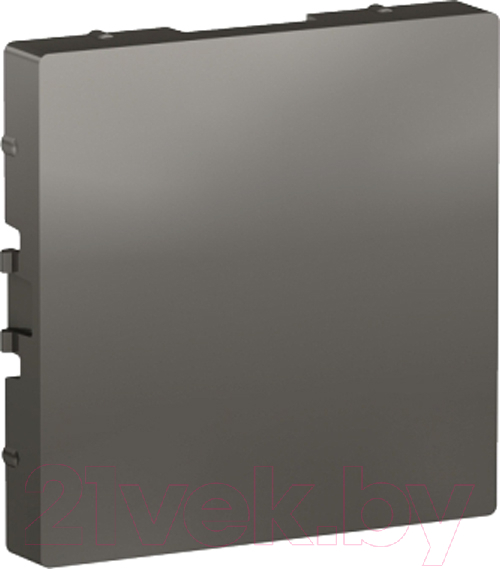 Декоративная заглушка для розетки Systeme (Schneider) Electric AtlasDesign ATN000909 — фото 1