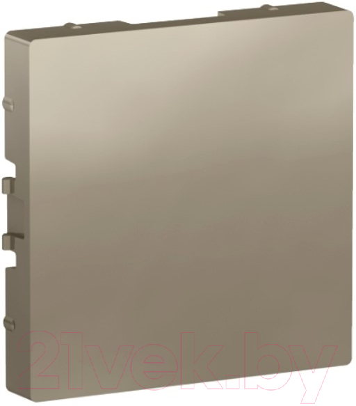 Декоративная заглушка для розетки Systeme (Schneider) Electric AtlasDesign ATN000509 — фото 1