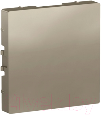 Декоративная заглушка для розетки Schneider Electric AtlasDesign ATN000509
