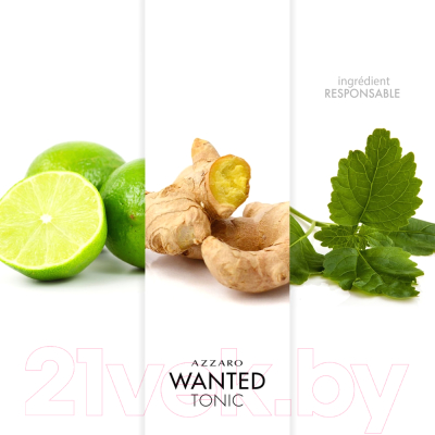 Туалетная вода Azzaro Wanted Man Tonic (50мл)