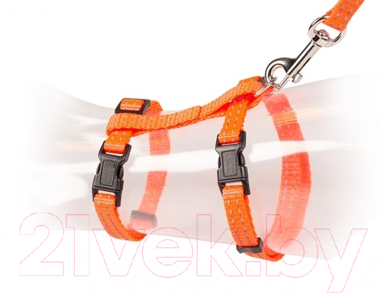 Шлея с поводком Duvo Plus 11205 (Orange) — фото 2