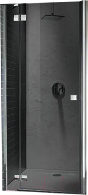 

Душевая дверь Radaway, Almatea DWJ 120L / 31402-01-05N