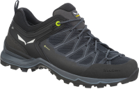 Трекинговые кроссовки Salewa Trainer Lite Gore-Tex Men's / 61361-0971 (р-р 8.5, черный) - 