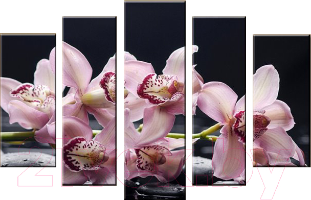 Картина модульная Arthata 5m-078 (160x90)