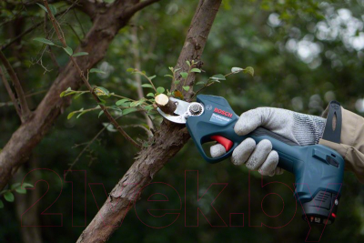 Изображение товара Секатор аккумуляторный Bosch Pro Pruner 0.601.9K1.021