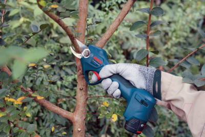 Изображение товара Секатор аккумуляторный Bosch Pro Pruner 0.601.9K1.021