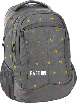 

Школьный рюкзак Paso, 18-2808ZL