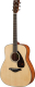 Акустическая гитара Yamaha FG-800M - 