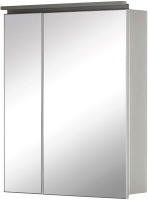 Шкаф с зеркалом для ванной De Aqua Алюминиум 60 / 261750 (серебристый) - 