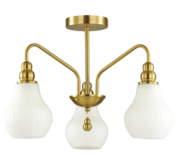 

Люстра Lumion, 4562/3C