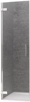 

Душевая дверь Radaway, Arta DWD 45 L / 386031-03-01L