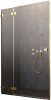 

Душевая дверь Radaway, Essenza Pro Gold DWJ 100 L / 10099100-09-01L