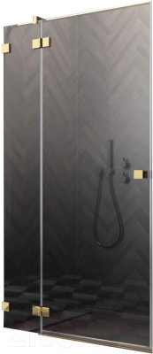 

Душевая дверь Radaway, Essenza Pro Gold KDJ 100 L / 10097100-09-01L