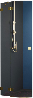 

Душевая дверь Radaway, Essenza Pro Gold PDD 90 L / 10095090-09-01L