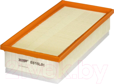

Воздушный фильтр Hengst, E615L01