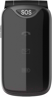 Мобильный телефон Maxvi E6 (черный)