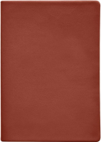 Ежедневник InFolio Sprig BY / SM021 (коричневый) - 