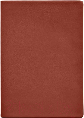 Ежедневник InFolio Sprig BY / SM021 (коричневый)