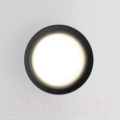 Светильник уличный Elektrostandard Light 2101 35128/H (серый)