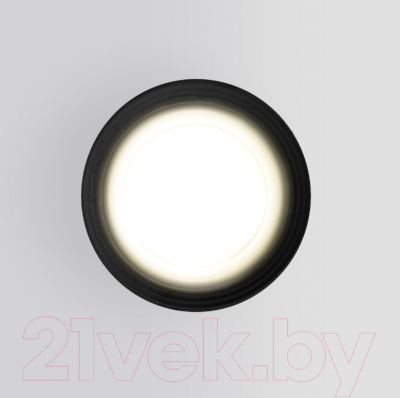 Светильник уличный Elektrostandard Light 2101 35128/H (черный)
