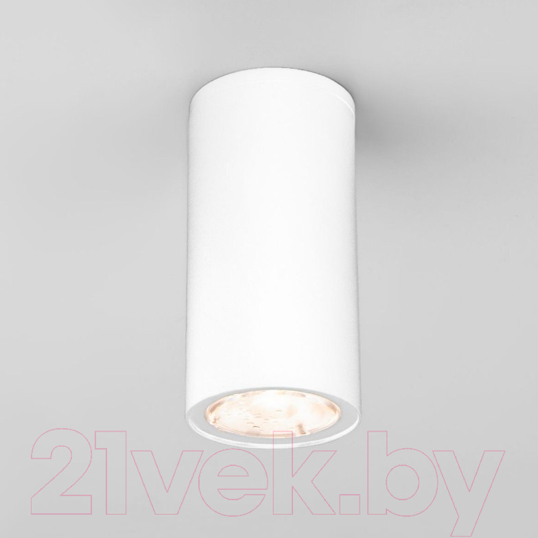 Светильник уличный Elektrostandard Light 2102 35129/H (белый)