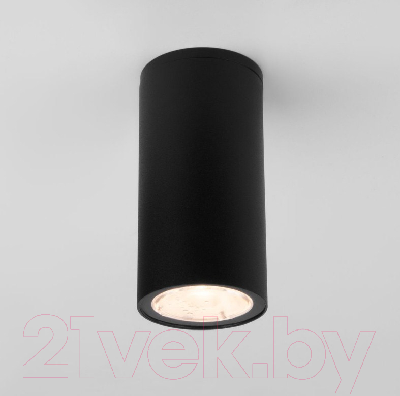 Светильник уличный Elektrostandard Light 2102 35129/H (черный)