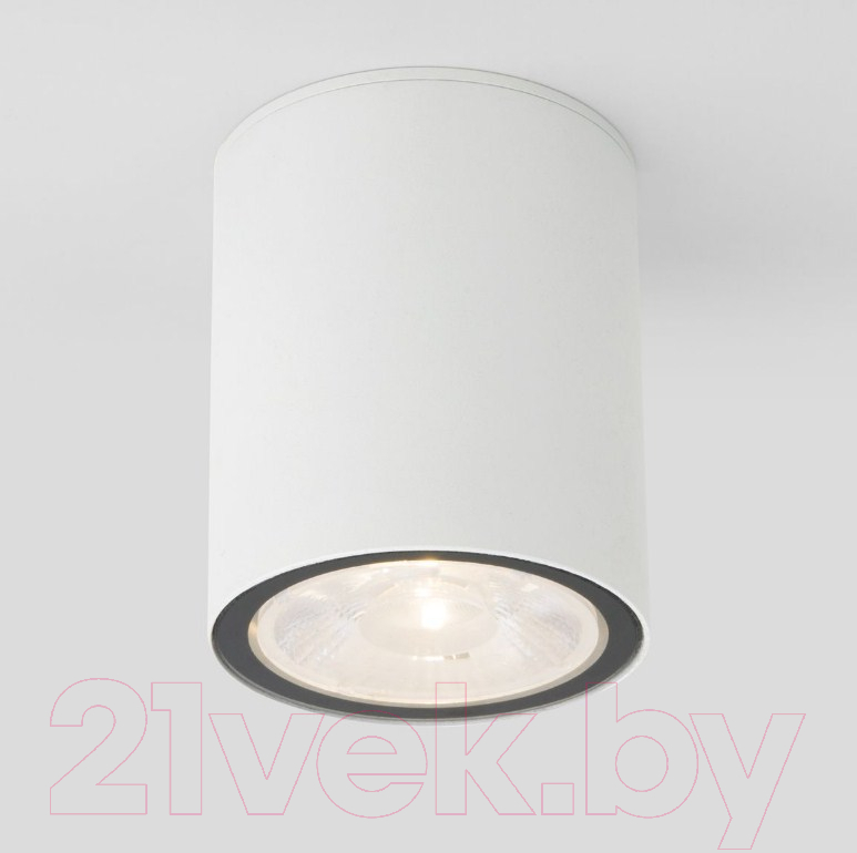Светильник уличный Elektrostandard Light 2103 35131/H (белый)